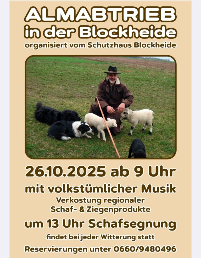 Almabtrieb Blockheide Schutzhaus