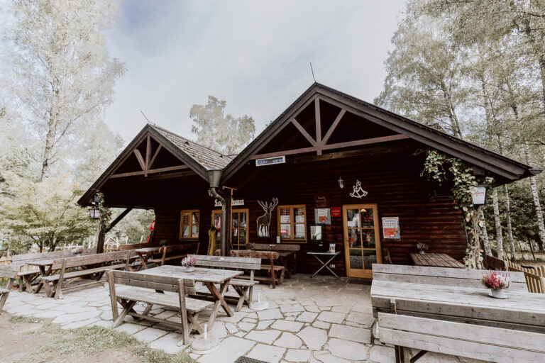 unsere neue Homepage ist online!